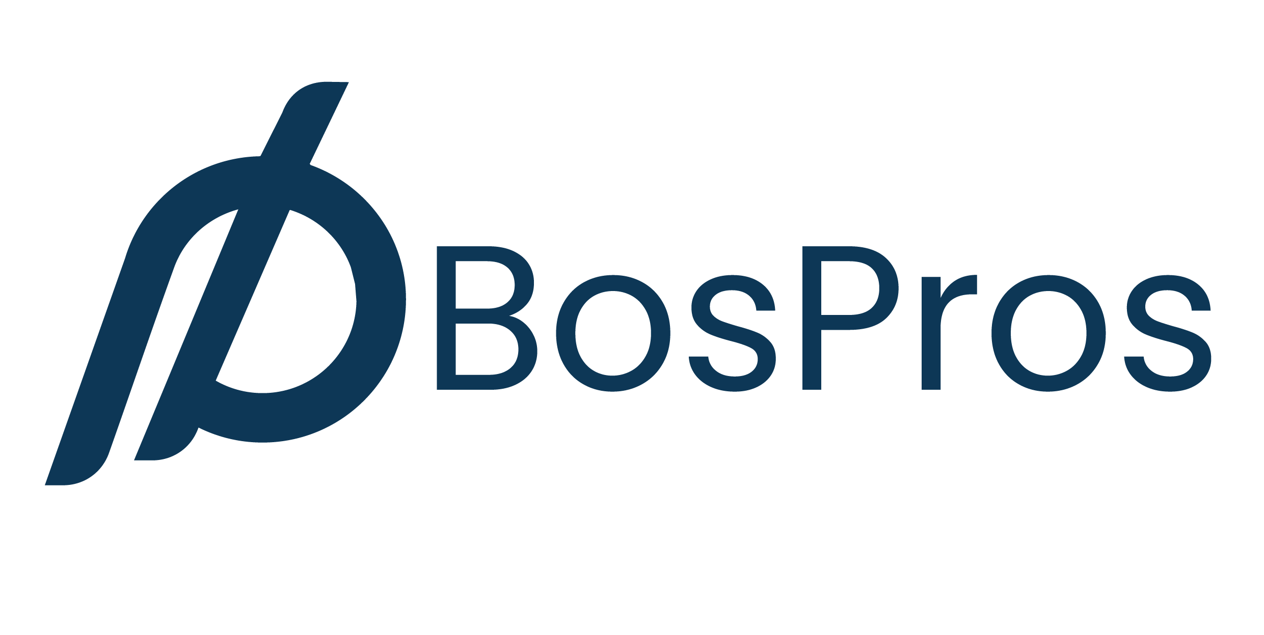 BosPros Logo